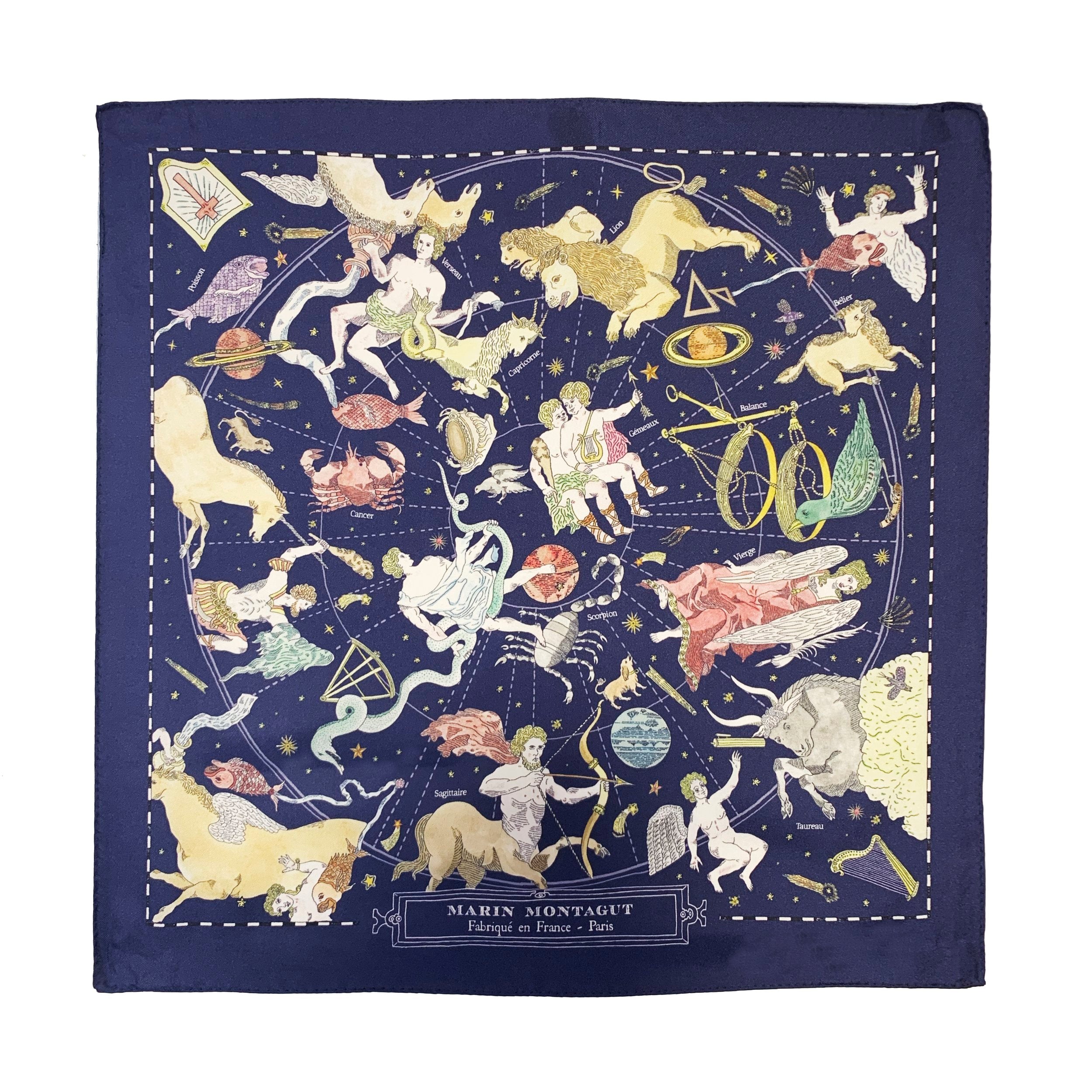 Coneflower pachyderm hot constellation silk scarf